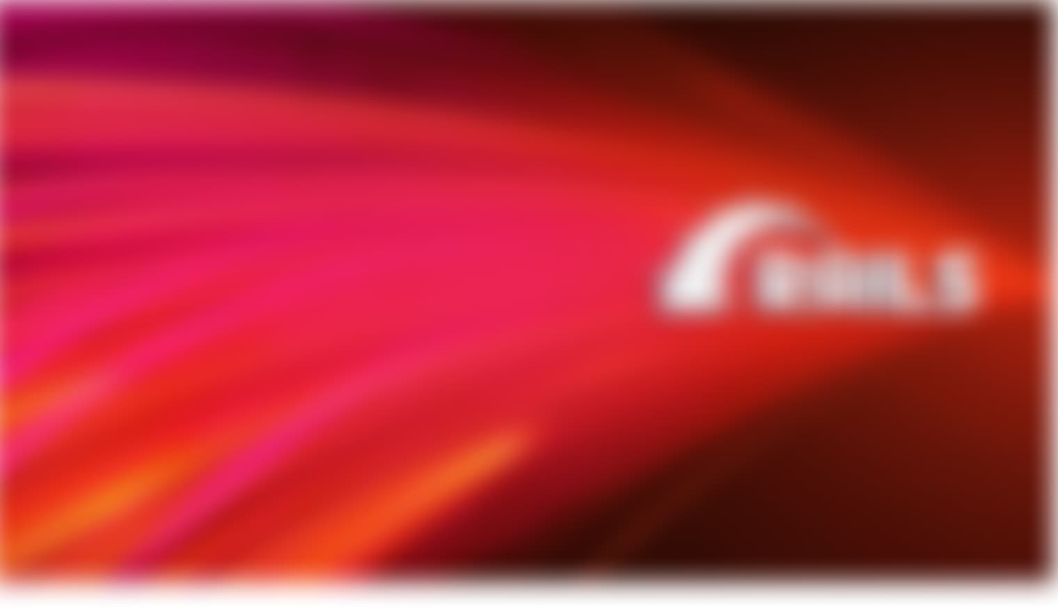 Next JS Logo